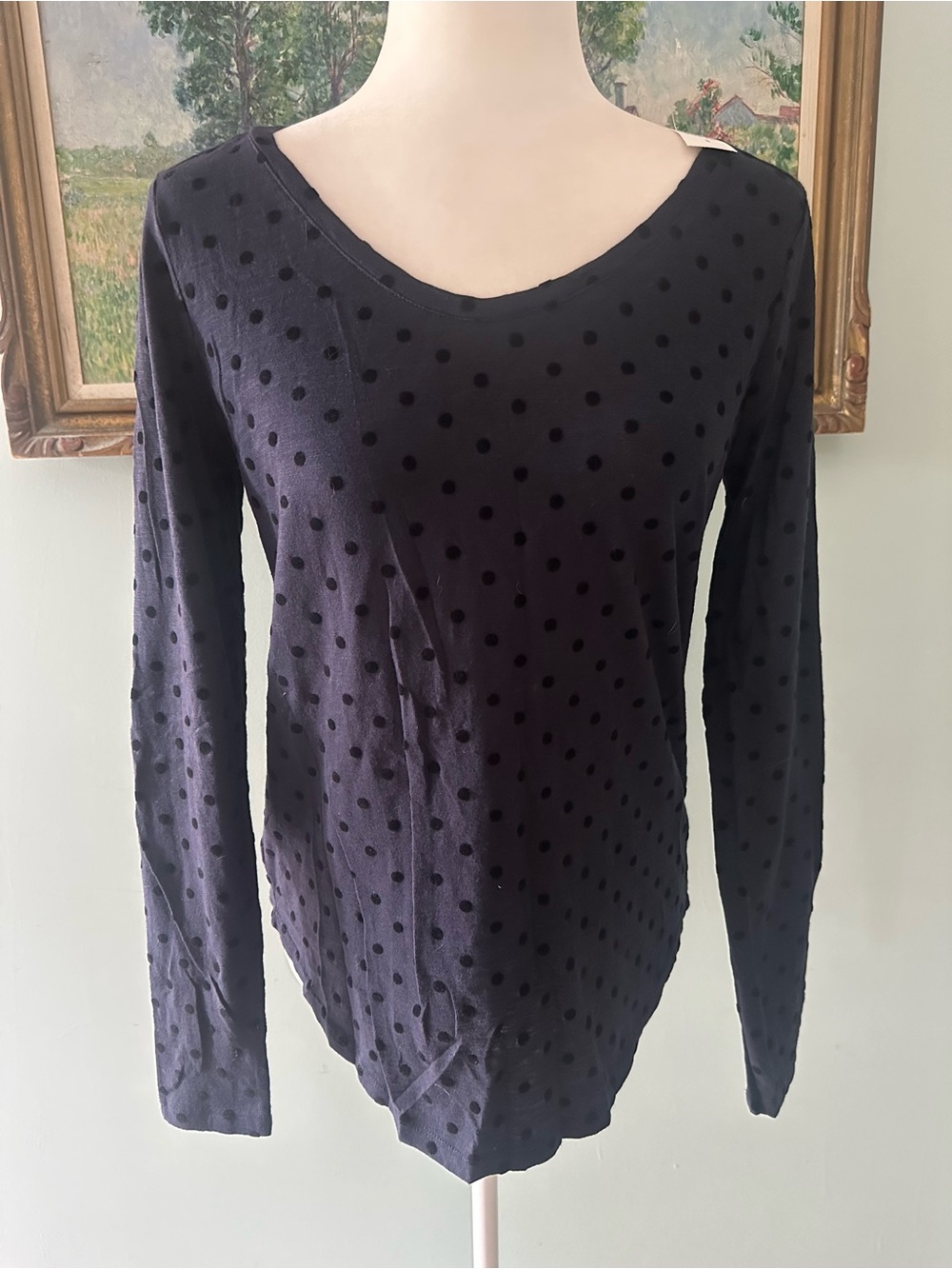LOFT Navy Polka Dot Long-Sleeve Scoop Neck Top